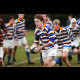 image 33 of 65